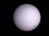 Dave McCarter's 2004 image of Venus near the Solar limb Dave McCarter's 2004 image of Venus near the Solar limb