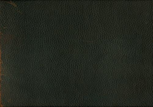 1905 Eclipse #96