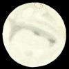 Mars 195811022130 Mars 195811022130
