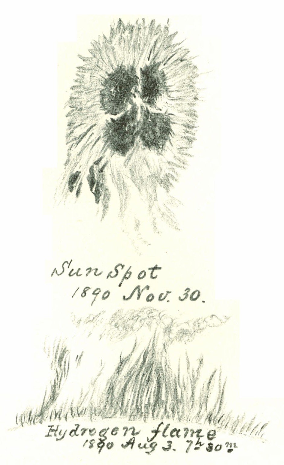 Sunspot Sketch 1890