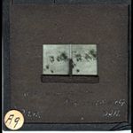 Lantern A9