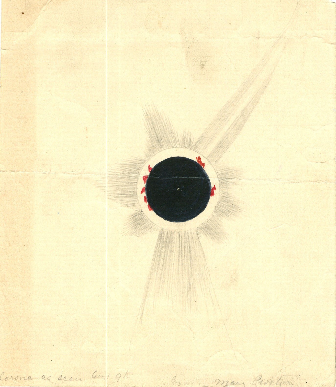 Corona 1896