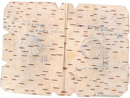 Eclipse 1900 in Birch Bark