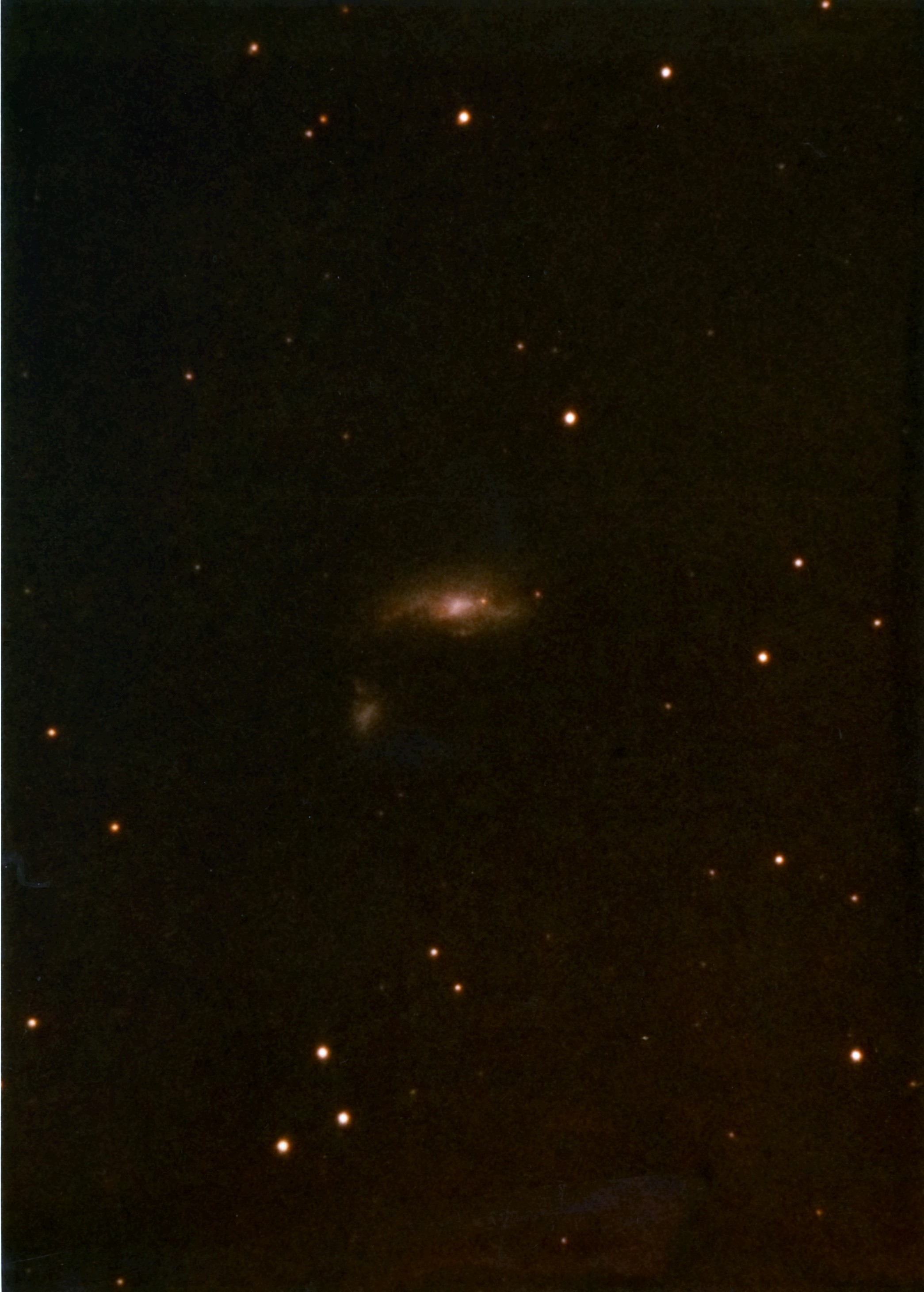 Supernova Wild in NGC 4490 Supernova Wild in NGC 4490