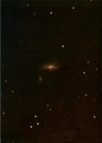 Supernova Wild in NGC 4490 Supernova Wild in NGC 4490