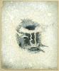 Sunspot August 1888