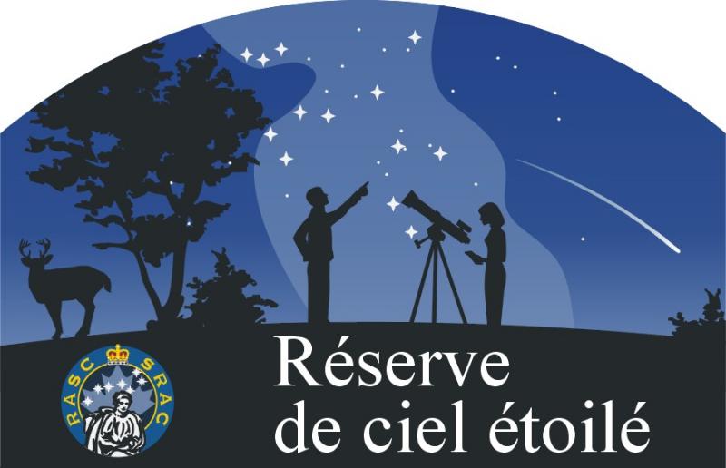 french dsp logo