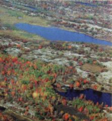 Aerial View of Torrence Barrens DSP