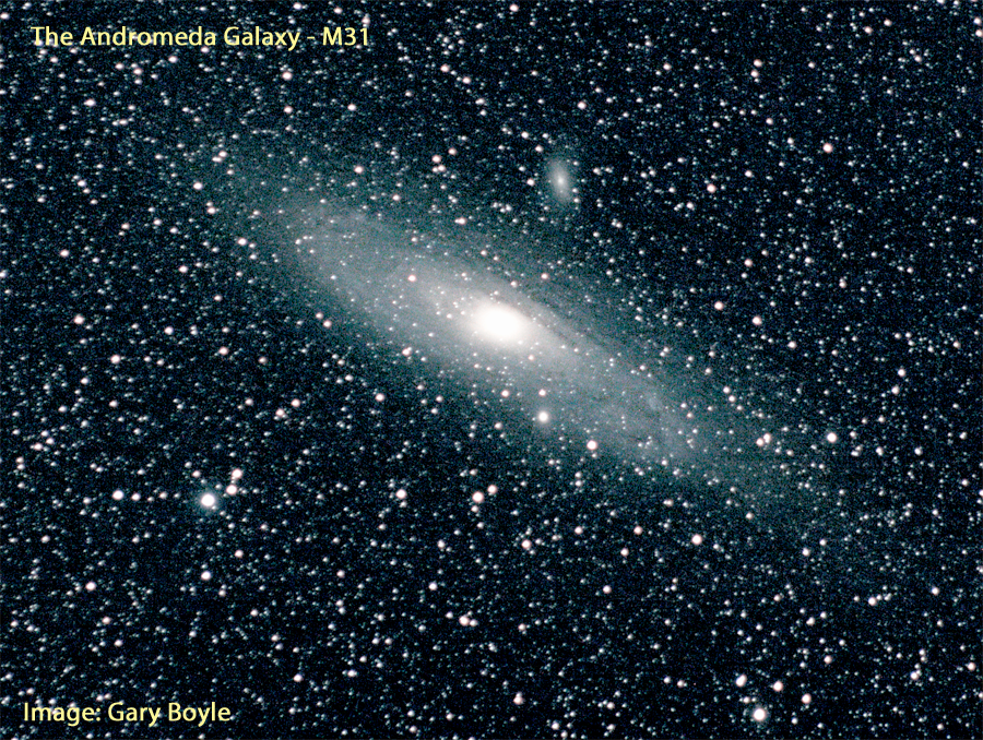 M31