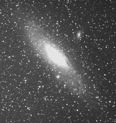 M31