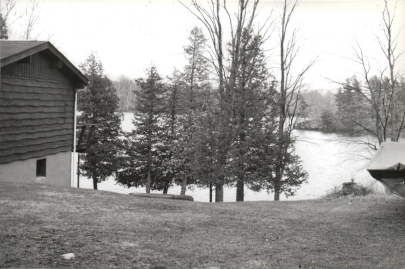 Sharbot Lake View